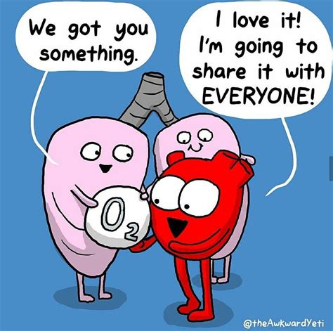 The Awkward Yeti comics Biology Jokes, Medical Jokes, Chemistry Jokes, Teaching Biology, Ap ...