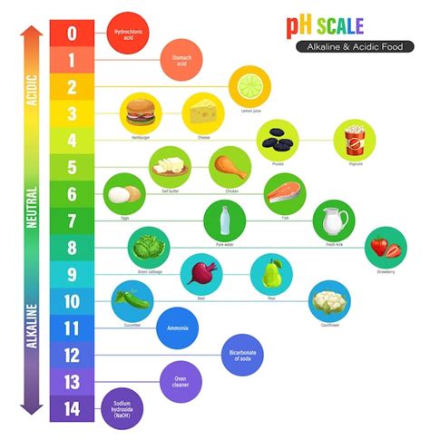 Premium Vector | PH scale chart, alkaline and acidic nutrition measure meter, vector chemistry ...