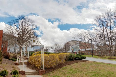 University of North Carolina School of the Arts Campus Photograph by ...