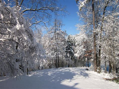 Winter In Arkansas Photograph by Mary Ann Southern