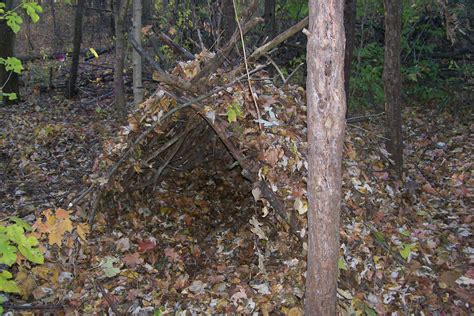 Bushcraft Plus: Shelter: Forest A-Frame