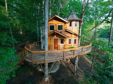 Top 15 Best Tree House Hotels In The World