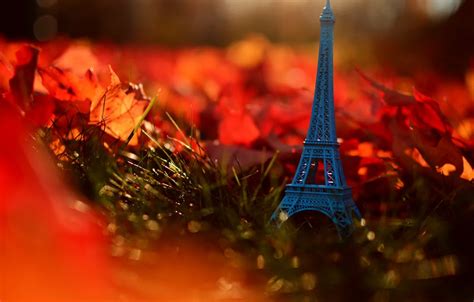 Wallpaper autumn, grass, leaves, nature, France, Paris, Eiffel tower ...