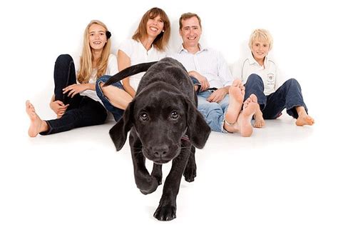 Family Portrait Photograph and their Inquisitive Dog | Family dog photos, Studio family ...