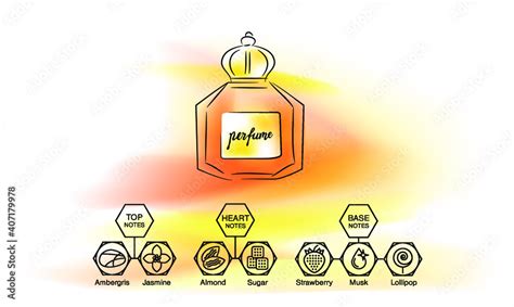 Aromatic structure notes guide for perfume, scent and aroma infographic. Top, heart, middle and ...