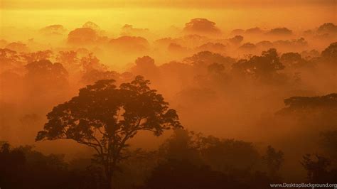 African Sunrise Wallpapers - Top Free African Sunrise Backgrounds ...