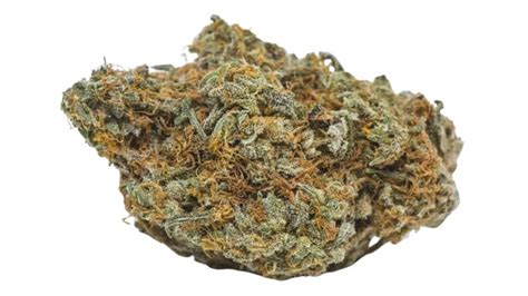 ZaZa Marijuana Strain Information & Review