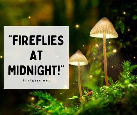 50 Best Fireflies Quotes for Summer Nights - Lil Tigers