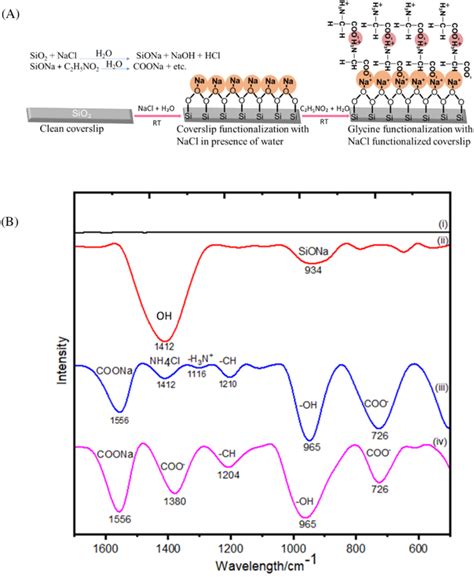 A, Schematically illustrated glycine functionalization steps and (B)... | Download Scientific ...