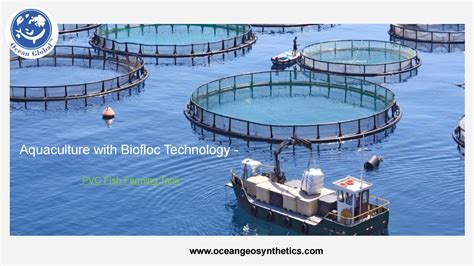 Biofloc Fish Tank System - PVC Fish Farming Tank. by oceanglobal - Issuu