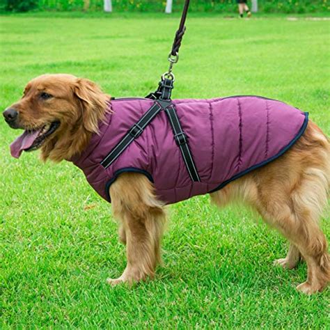 Dog Coat With Durable Harness Chest Strap Waterproof 2 In 1 Pet Autumn ...