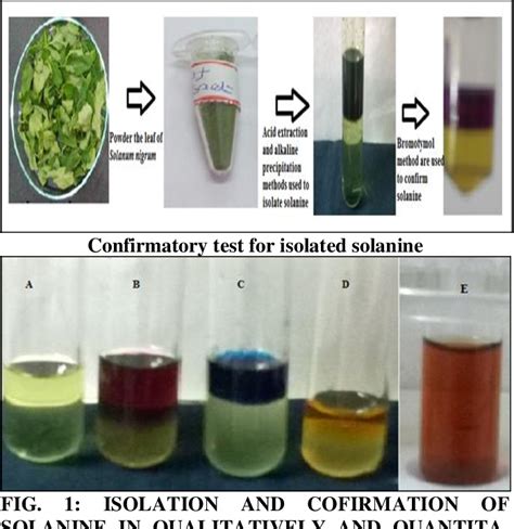 Figure 1 from ANTIOXIDANT, ANTIBACTERIAL EFFECTS OF SOLANINE ISOLATED ...