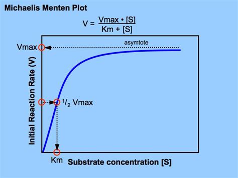 Michaelis Menton plot. Oh geez, brings back Biochem memories ...