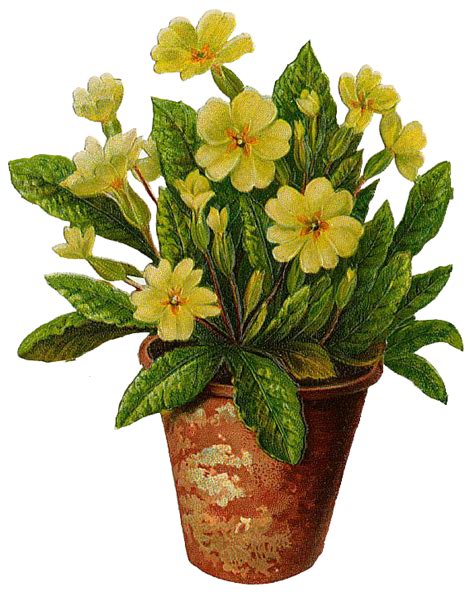 Flower Pot PNG Transparent Flower Pot.PNG Images. | PlusPNG