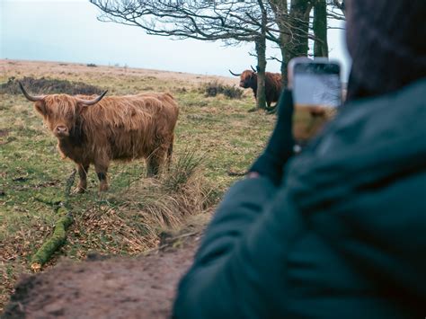 Quantock Hills Walking Festival Photo Walk - QLPS, Quantock Landscape Partnership Scheme