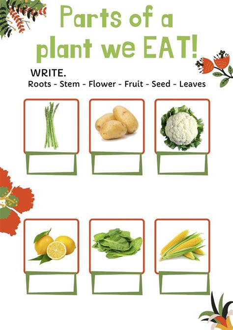 Parts of a plant we eat interactive worksheet | Parts of a plant, Plants worksheets, Teaching plants