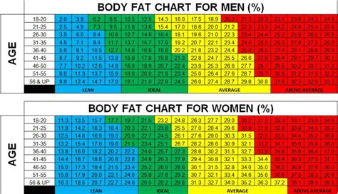 Body Fat Percentage Chart for Men and Women