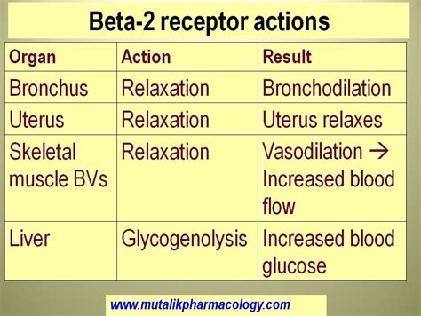 Adrenergic Agonists | Mutalik Pharmacology