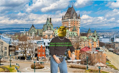 Upset turtleneck Shrek in Quebec smoking a cigarette : r/Shrek