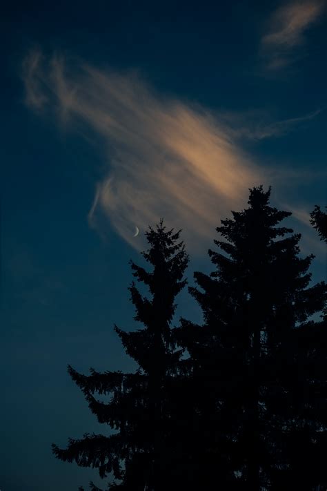 Night Sky with a Crescent Moon · Free Stock Photo