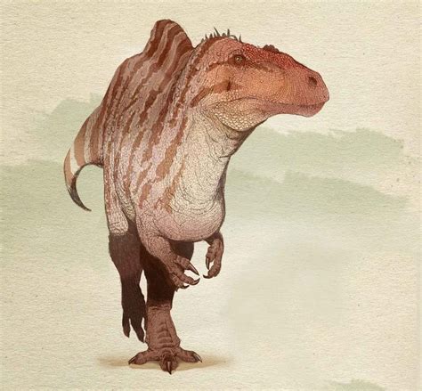 Acrocanthosaurus atokensis; Early Cretaceous Aptian to Albian (116110 Ma) | Prehistoric wildlife ...