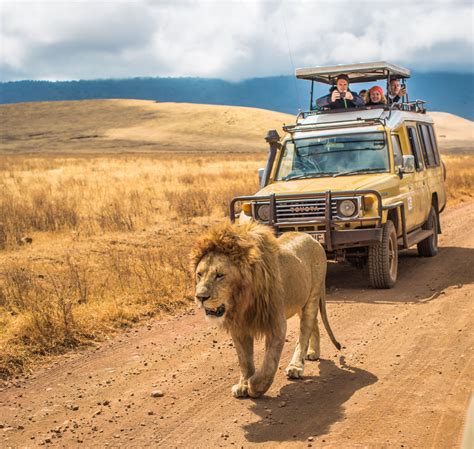 Tanzania Reizen – Bakermat van de safari. | AfrikDelux