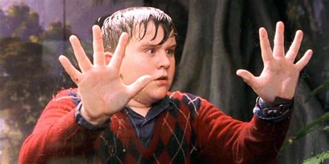 Harry Potter: 10 Things You Didn’t Know About Dudley Dursley