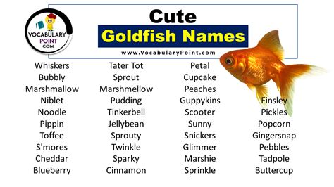 Unique Goldfish Names (Funny, Cool & Pet) - Vocabulary Point