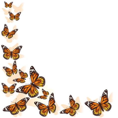 8,500+ Orange Butterfly Stock Illustrations, Royalty-Free Vector ...