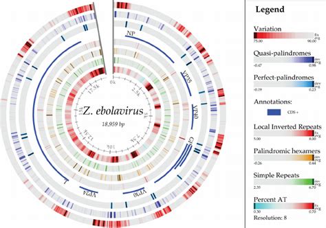 Atlas of the genome of ebolavirus KJ660347, showing, from the outer...