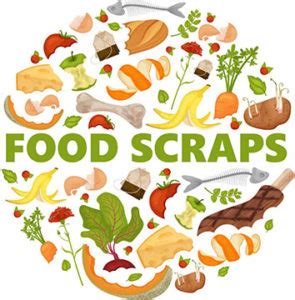 HRRA | Organics (Food Scraps) – Newtown