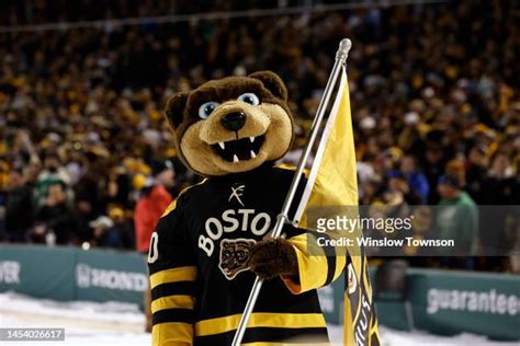 Boston Bruins Mascot Photos and Premium High Res Pictures - Getty Images