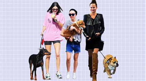 What Dog Breeds Do Celebrities Own? - Photos of Celebrities With Their ...