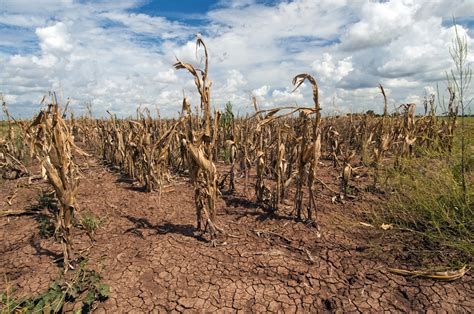 New study gives hope for predicting long lasting El Niño and La Niña