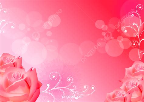 Red Roses Background, Wallpaper, Red, Rose Background Image And Wallpaper for Free Download