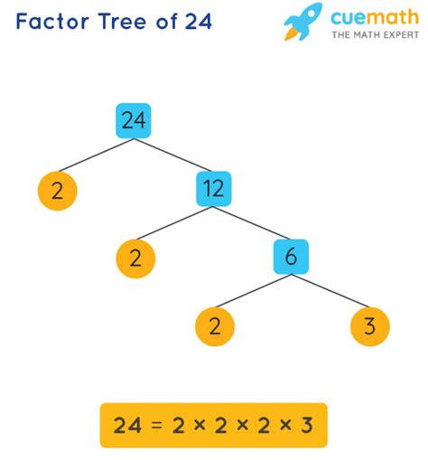 draw a factor tree for the number 24 - Bailey Gliver1994