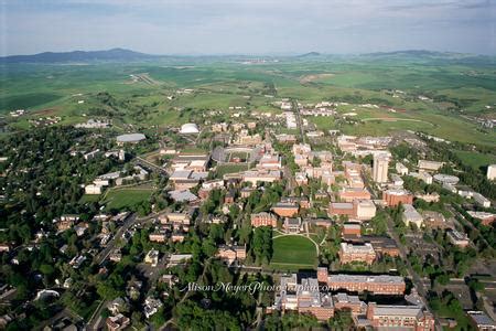 "Washington State University in the Palouse Hills"