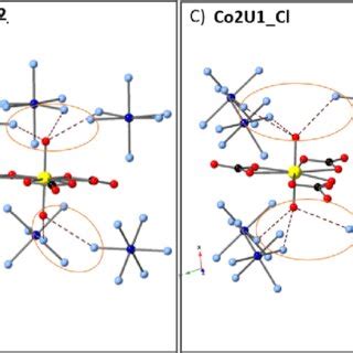 Hydrogen bonding for the cobalt hexamine to the uranyl tricarbonate... | Download Scientific Diagram