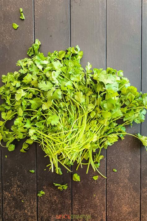 How to Store Cilantro (Buy, Clean, Cut, Use) | Spice Cravings