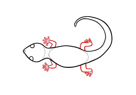 How to Draw a Lizard | Design School