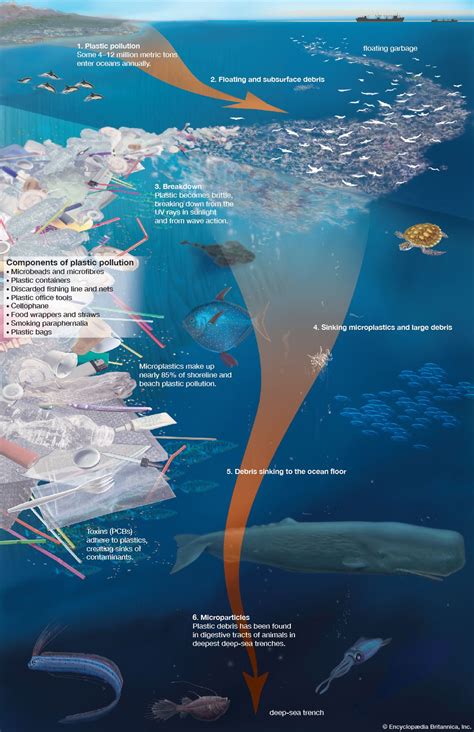 Plastic pollution | Definition, Sources, Effects, Solutions, & Facts | Britannica