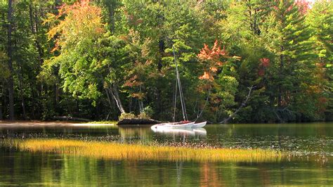 White Lake State Park, a New Hampshire State Park