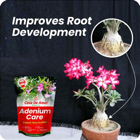 Casa De Amor Adenium Care Organic Fertilizer for Adenium Plants, Multi