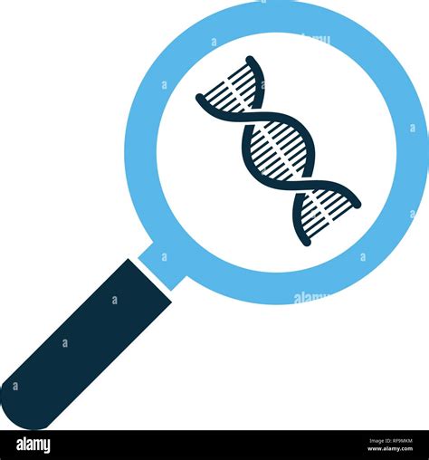 DNA, genetics testing icon. dna chain in magnifying glass sign. genetic ...