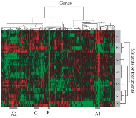 Complex differential gene expression patterns