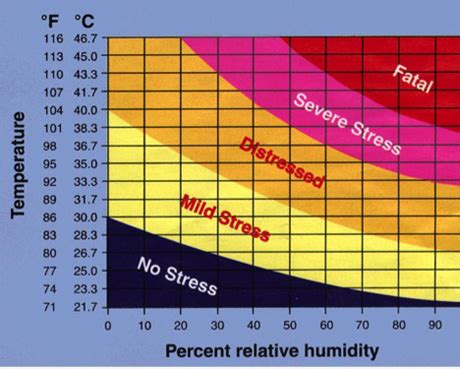 Waste heat could keep cows cool and comfortable | Cornell Chronicle