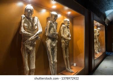 28 Museum Of The Mummies Of Guanajuato Images, Stock Photos & Vectors | Shutterstock