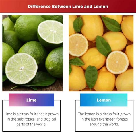 Lime vs Lemon: Difference and Comparison