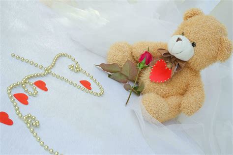 Teddy bear with red heart and red rose 26304087 Stock Photo at Vecteezy