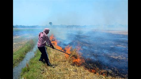 Plans to bring down farm fires by 50% in next kharif season, says Punjab agriculture minister ...